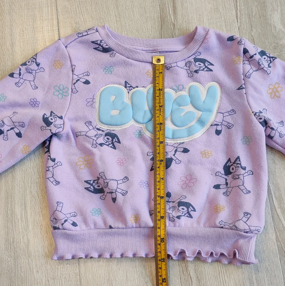 Target Kids Bluey Sweatshirts - White and Purple - Picture 2 of 10